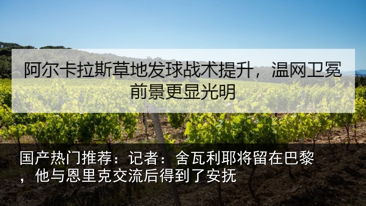 国产热门推荐：记者：舍瓦相关情况情况安抚
