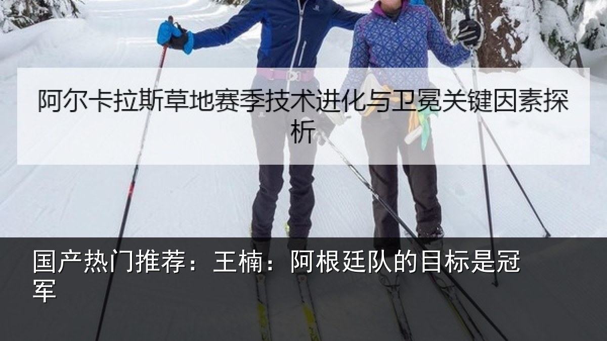 国产热门推荐：王楠：阿根廷队的目标是冠军