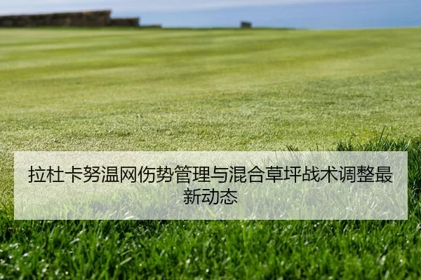 拉杜卡努温网伤势管理与混合草坪战术调整最新动态