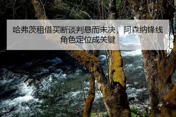 哈弗茨租借买断谈判悬而未决，阿森纳锋线角色定位成关键